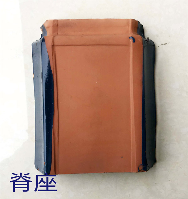 脊座